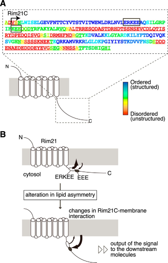 FIGURE 7.