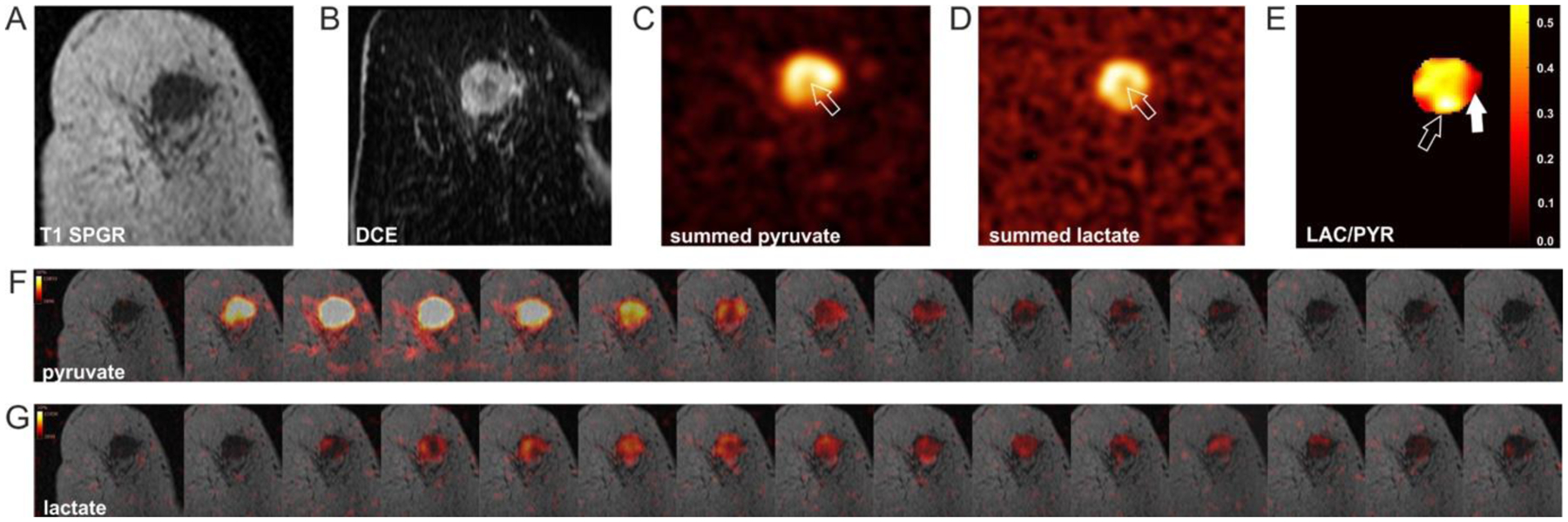 Fig. 2: