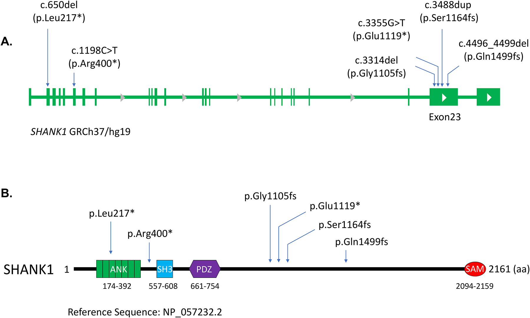 Figure 1.