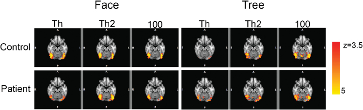 Fig. 3.