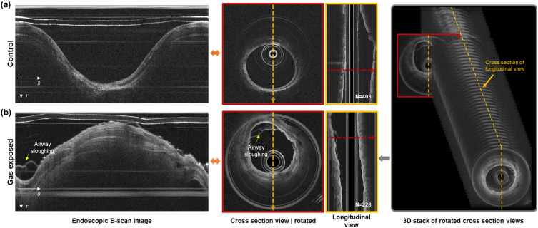 FIG. 4.