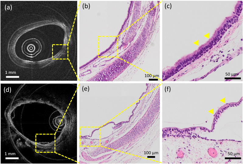 FIG. 8.