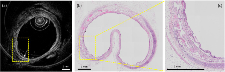 FIG. 5.