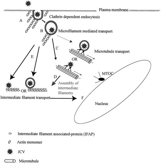 FIG. 7.