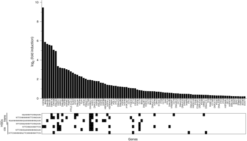 Fig. 6