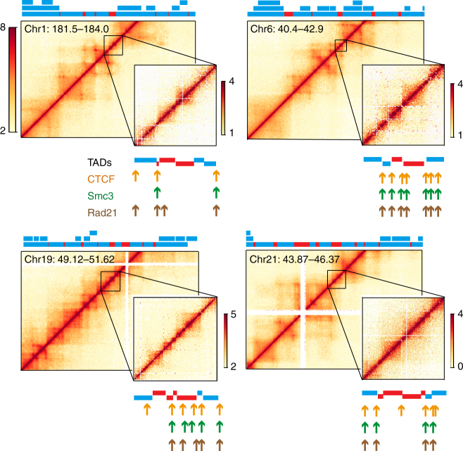 Fig. 4