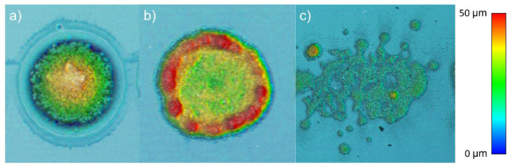 Figure 10