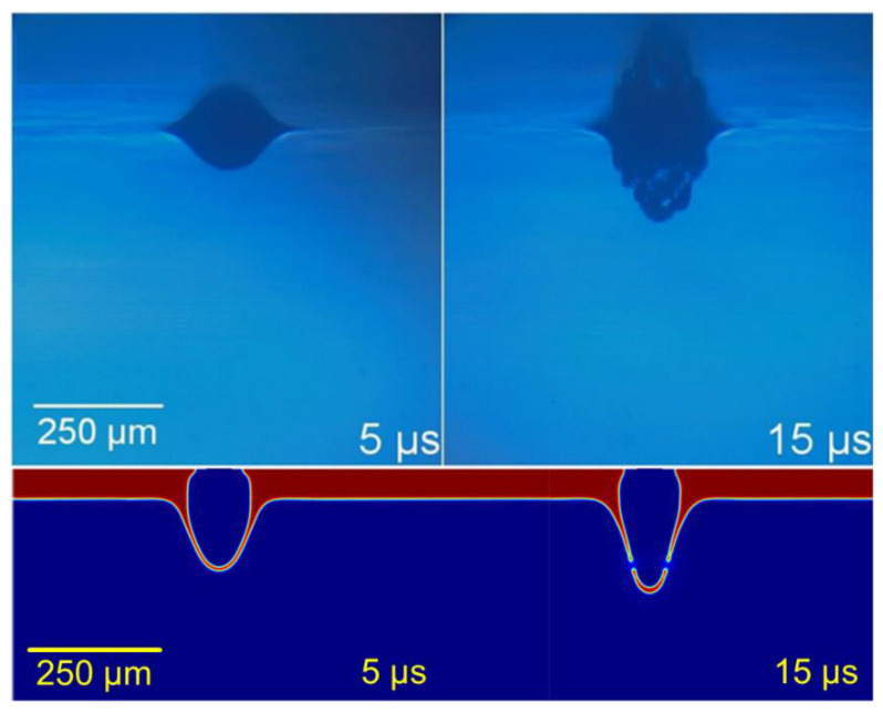 Figure 6