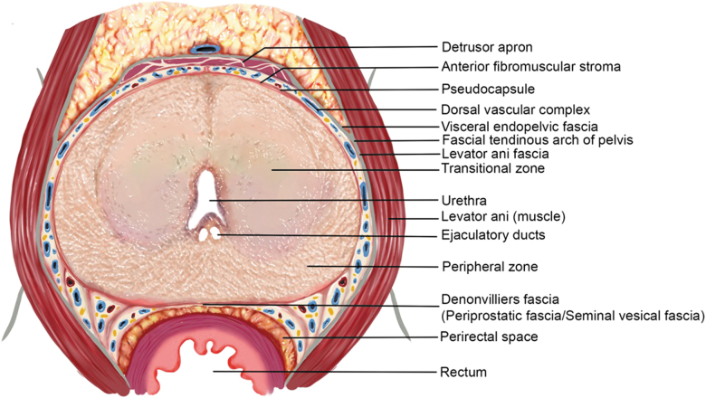 FIG. 1.