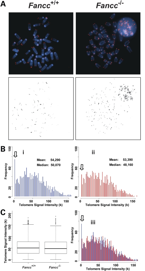 Figure 6.