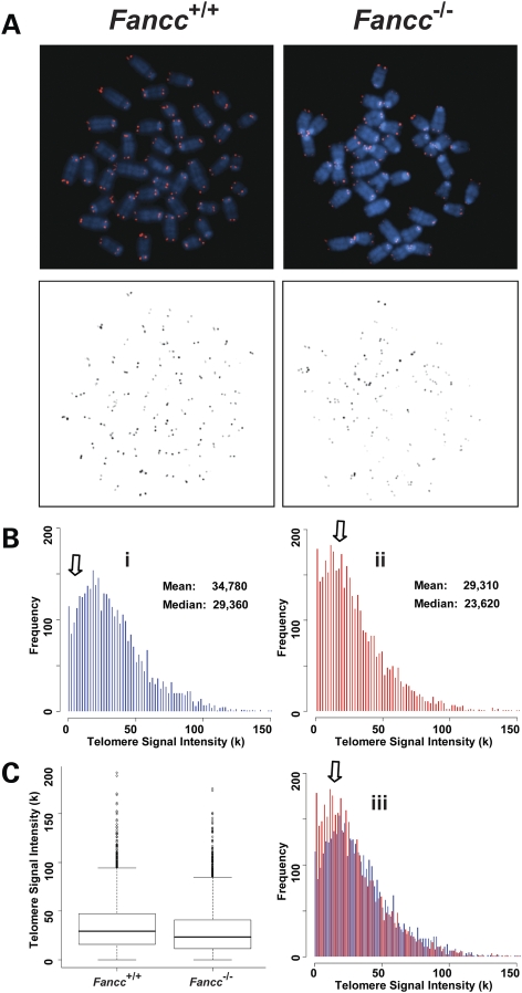 Figure 4.