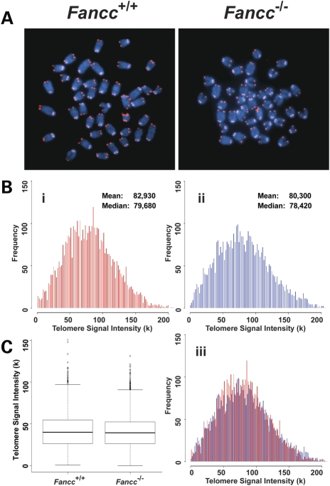 Figure 1.