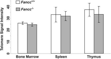 Figure 2.