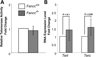 Figure 3.