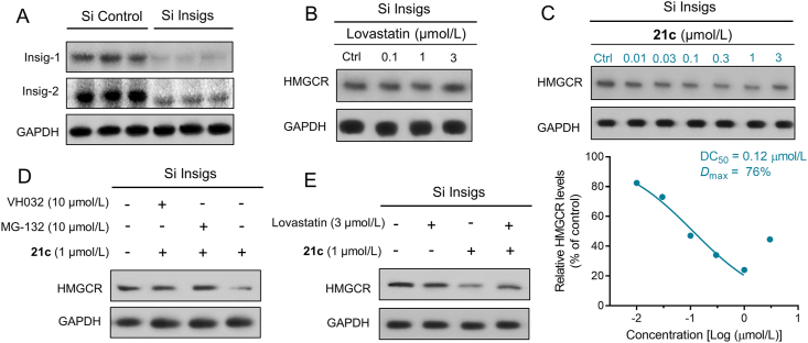 Figure 5