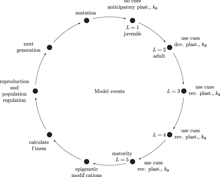 Fig 1.