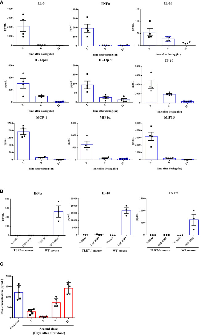 Figure 2