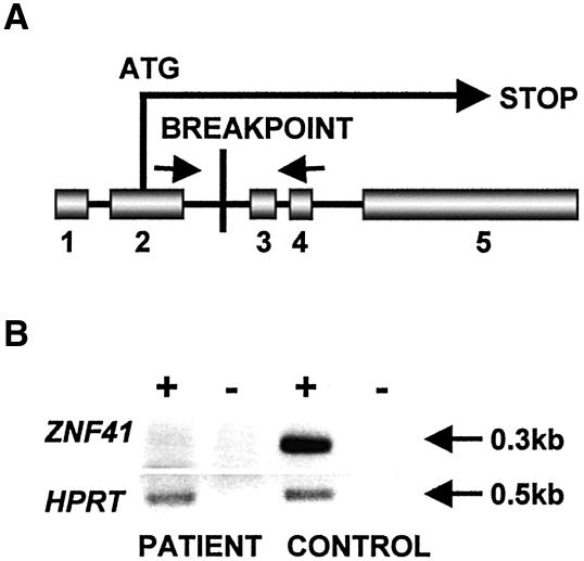 Figure  3