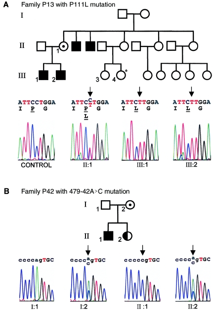 Figure  4