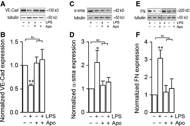 Fig. 12