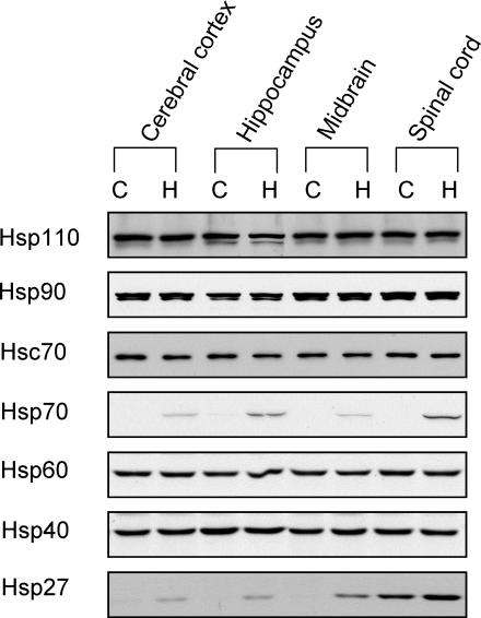 Fig 4.