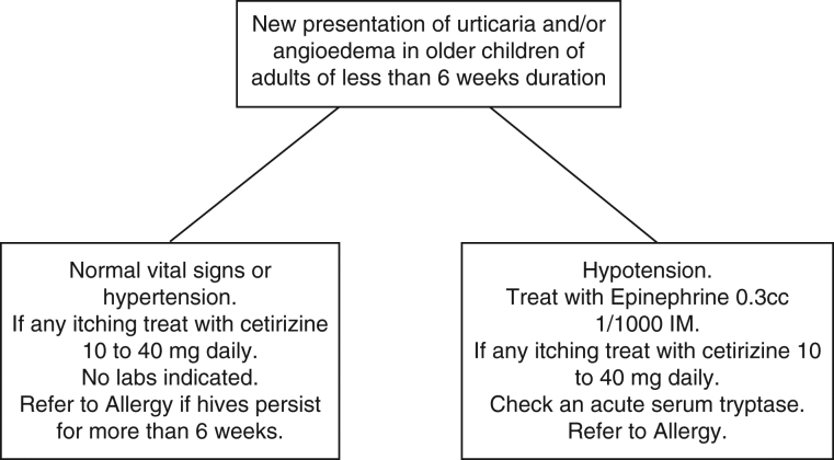 Practical Management Of New-Onset Urticaria And Angioedema Presenting ...