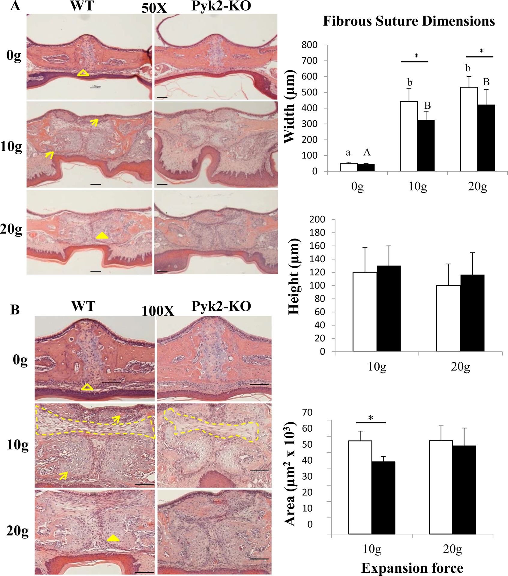 FIGURE 4.