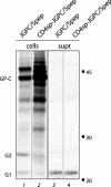 FIG. 4.