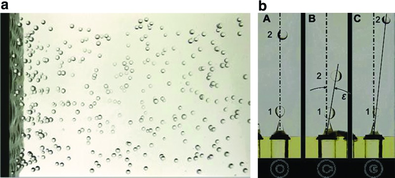 Figure 11.