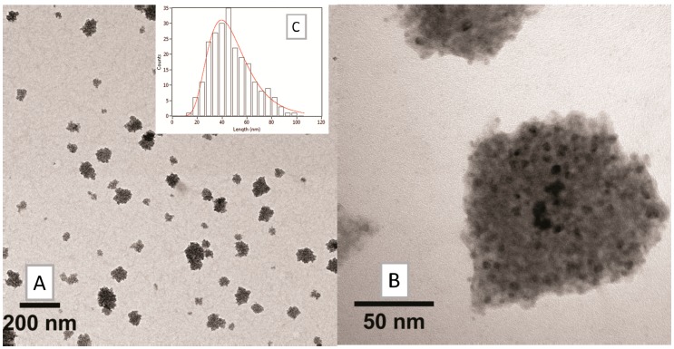 Figure 10