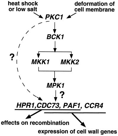 FIG. 9