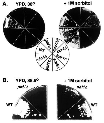 FIG. 6