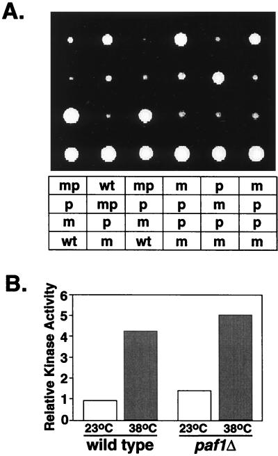 FIG. 8