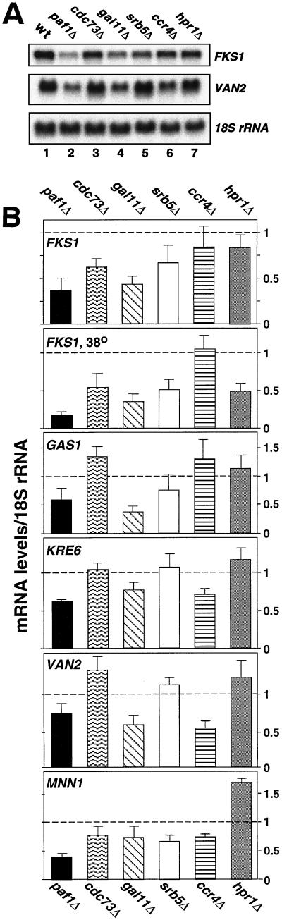 FIG. 7