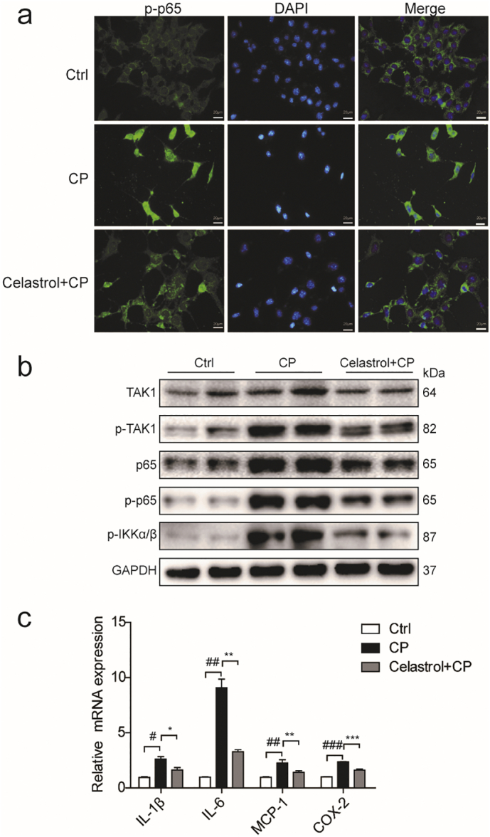 Fig. 9