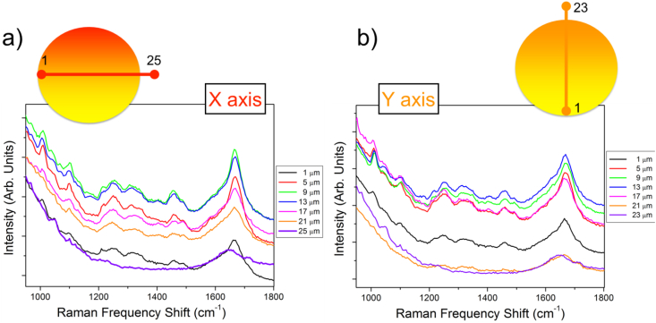 Fig. 3