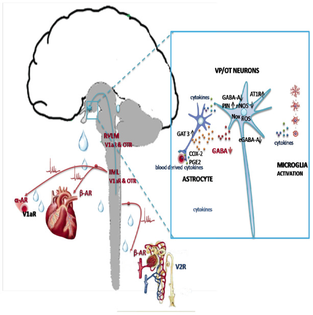 Fig. (4)