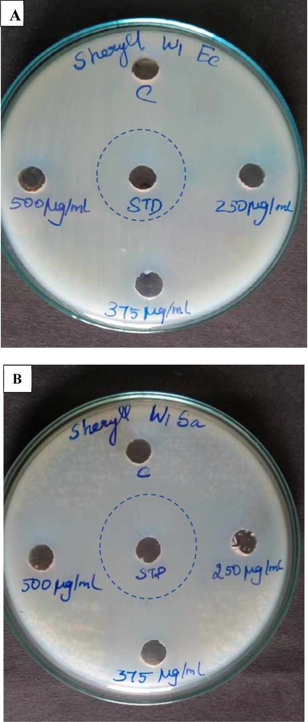 Figure 13