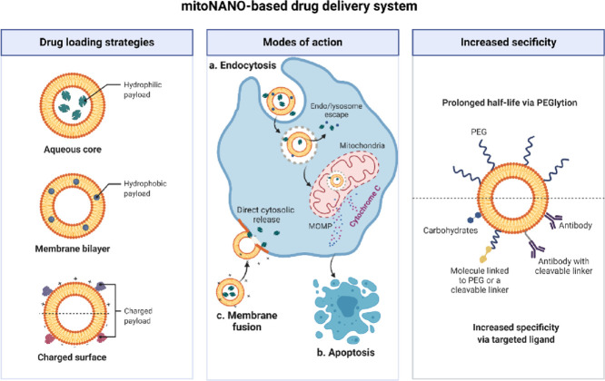 Image, graphical abstract