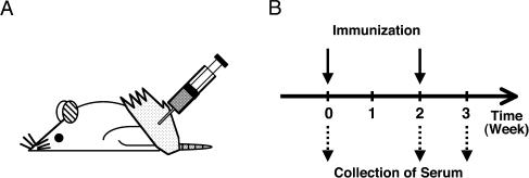 Fig. 2