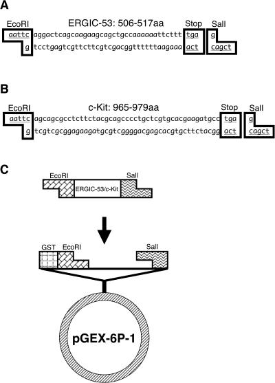 Fig. 1