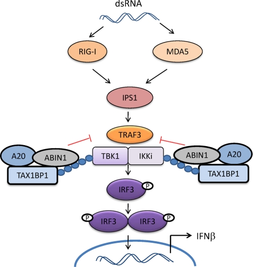 FIGURE 7.