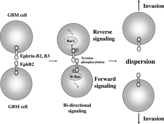 Fig. 3.