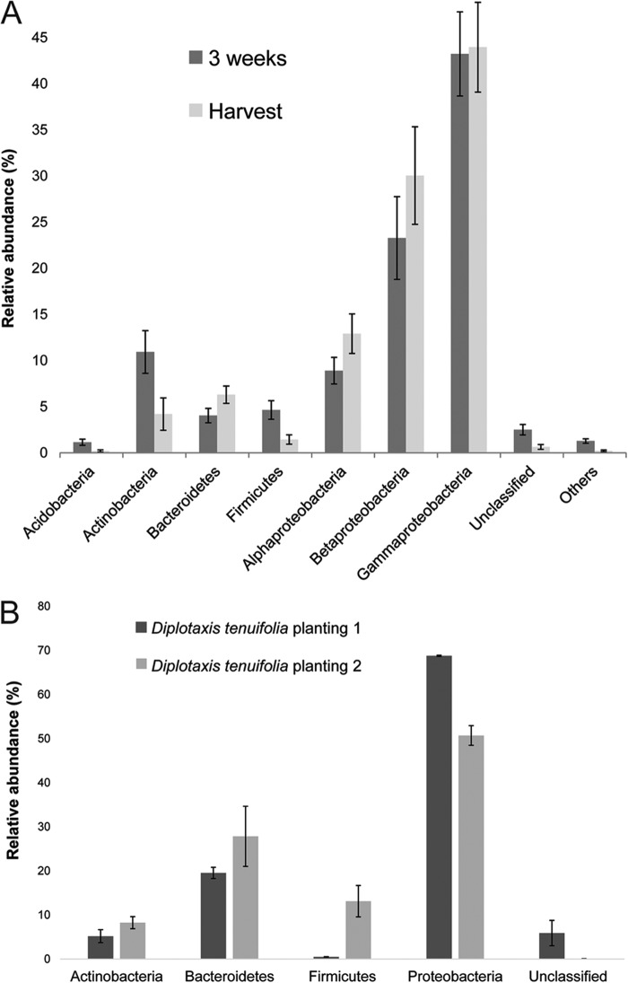 FIG 3