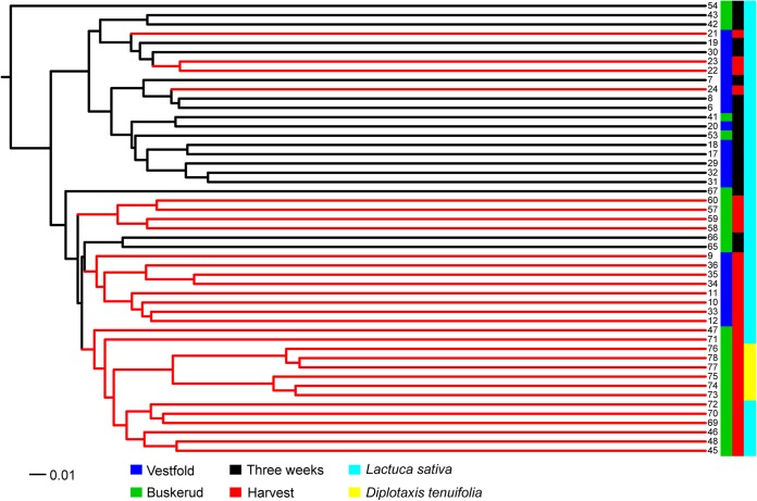 FIG 2