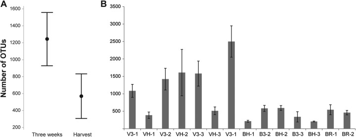 FIG 1