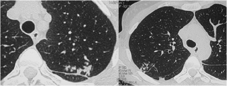 Fig. 5