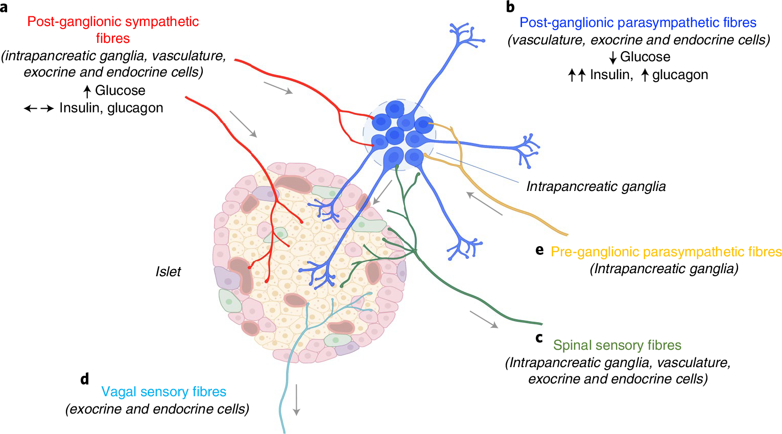 Fig. 8 |