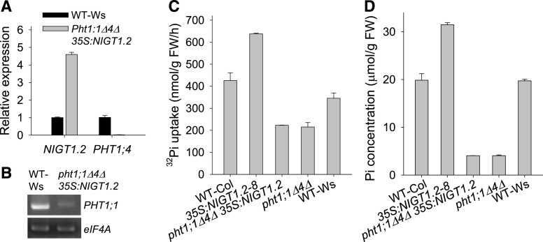 Figure 6.