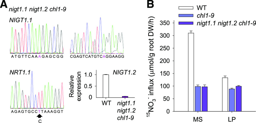 Figure 7.